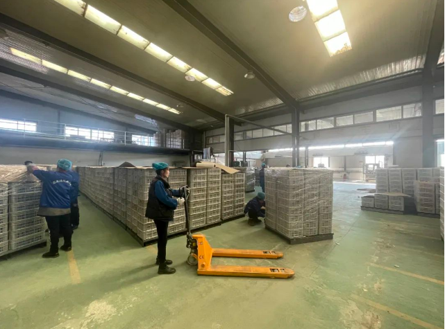 巾幗典型展風采 砥礪奮進新征程 | 閆寶潔 執著創業路 鏗鏘玫瑰綻芳華