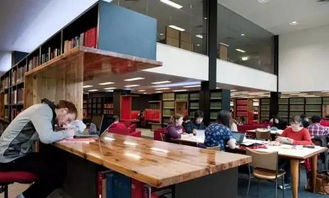 澳洲租房旺季 留學生露宿圖書館背后的困境與圖書館租賃的偽裝